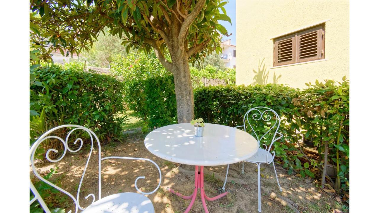 Holiday Home Vlady By Rent Istria Buje Eksteriør bilde
